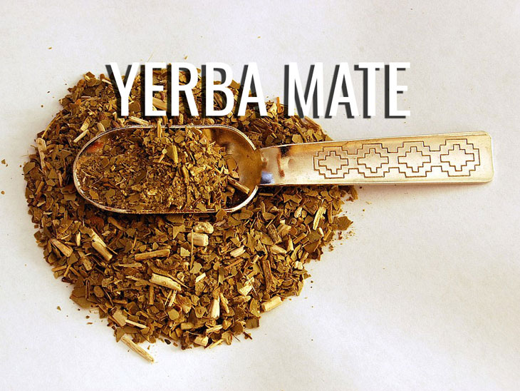 What is yerba mate?