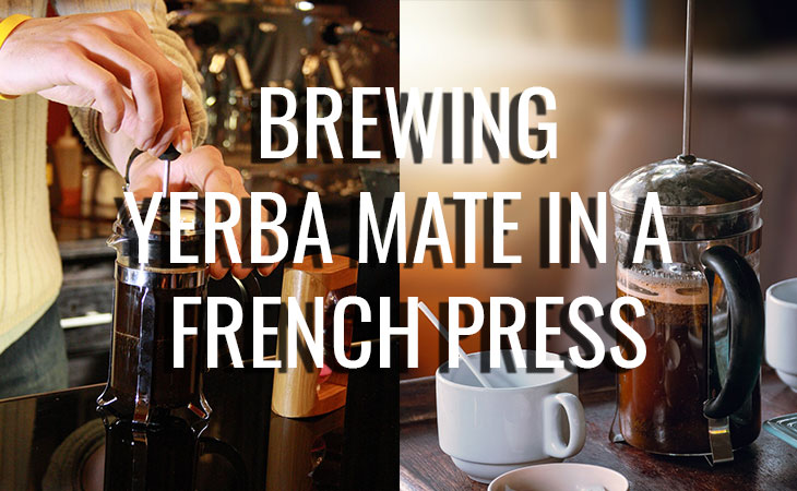 how to brew Yerba Mate in a French Press (Cafetiere)