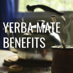 Yerba Mate health benefits