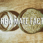important facts about Yerba Mate