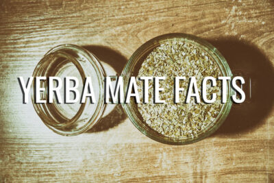 important facts about Yerba Mate