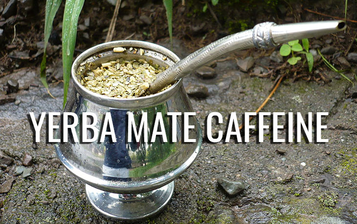 Yerba Mate caffeine 