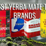 Best Yerba Mate tea brands and products