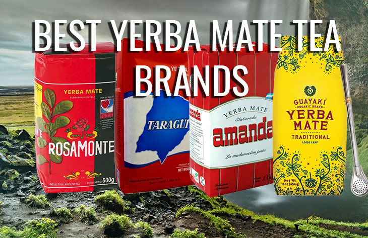 Best Yerba Mate tea brands and products