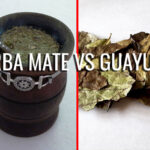 The difference between Guayusa and Yerba Mate