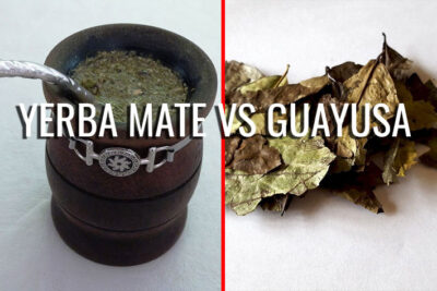 The difference between Guayusa and Yerba Mate
