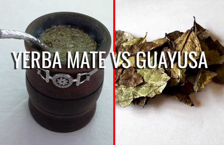 The difference between Guayusa and Yerba Mate